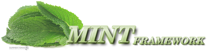 MINT Framework